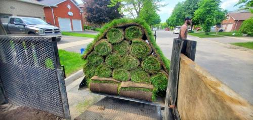 50 - Moving sod