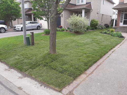 51 - Medium sized front entrance