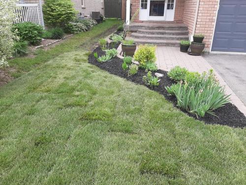 52 - Frontyard sod with gardens