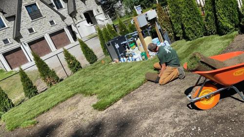 55 - Large back yard sod install