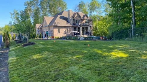 58 - Large back yard sod install