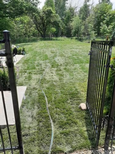60 - Large back yard sod install Ajax