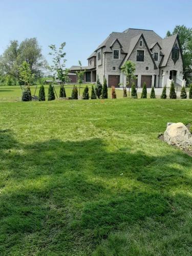 62 - Large back yard sod install Ajax