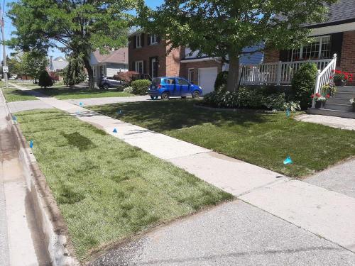 65 - Front yard install Oshawa
