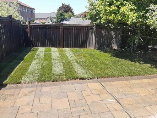 66 - Small backyard sod Ajax