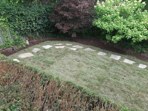 67 - Backyard sod with flag stone Ajax