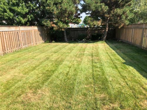 70 - Sod two years after install