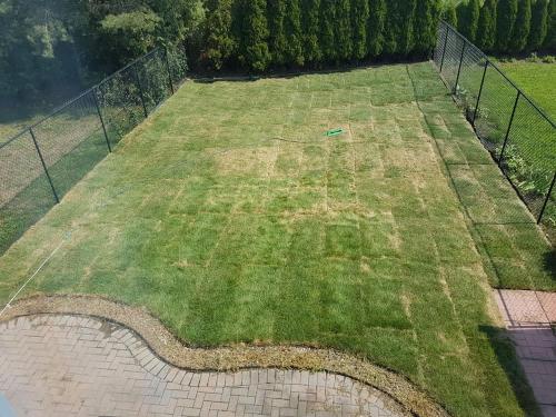 71 - Sod installation in Oshawa