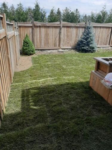 73 - Sod install with gardens outlined