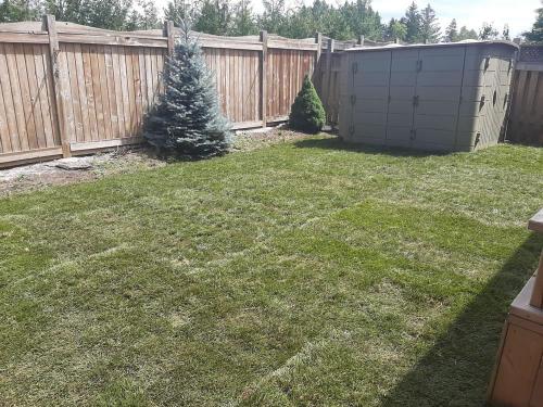 74 - Sod install with gardens outlined