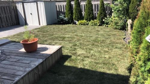 77 - Backyard sod with patio Brooklin