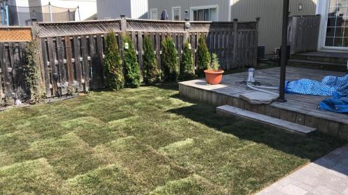 78 - Backyard sod with patio Brooklin