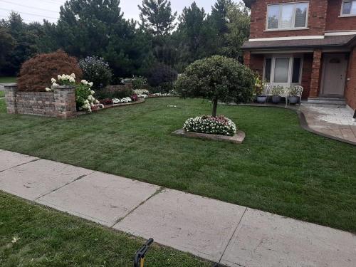 83 - Sod Removal process and install