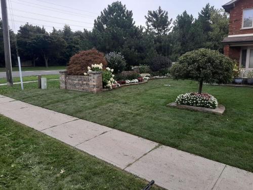 84 - Sod Removal process and install