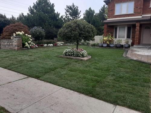 85 - Sod Removal process and install