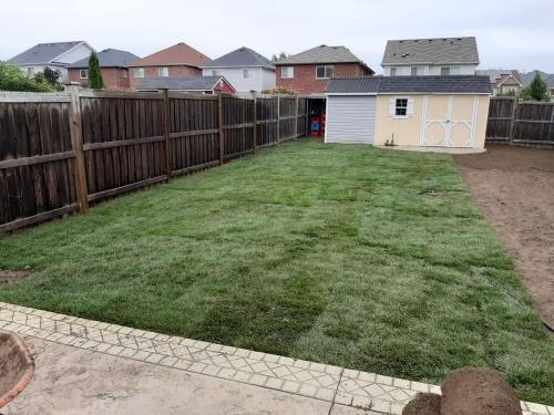 86 - Backyard sod installation Whitby