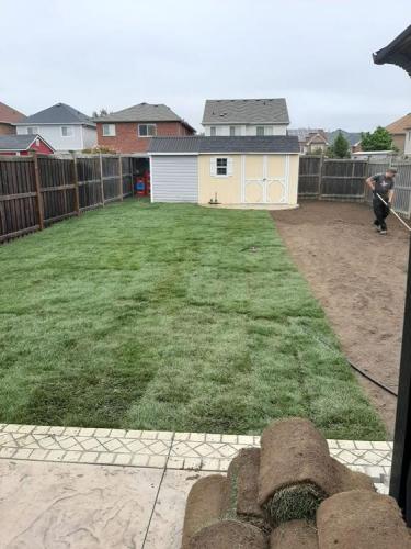 87 - Backyard sod installation Whitby