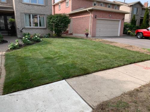 89 - Front yard sod Whitby