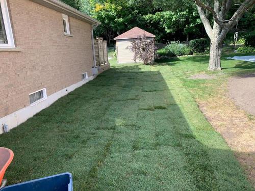 90 - Sideyard sod