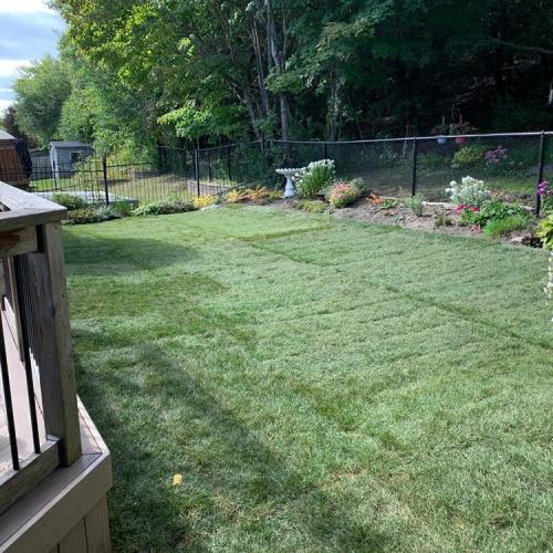 91 - Backyard sod Oshawa