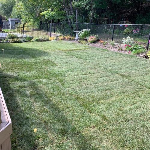 92 - Backyard sod Oshawa maintaining grade