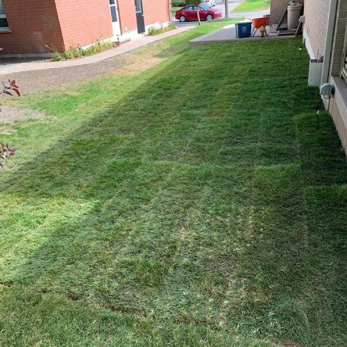 93 - Sideyard sod with maintaining grade