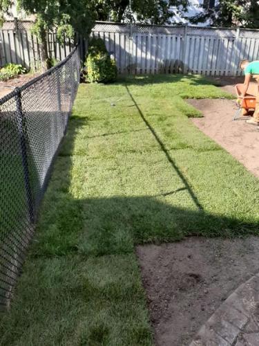 94 - Williamsburg sod install