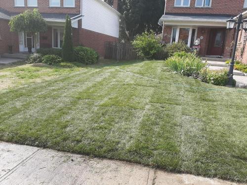 95 - Large front lawn install