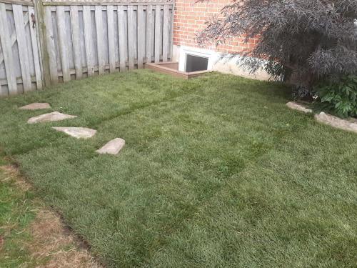 96 - Partial sod backyard to correct  drainage