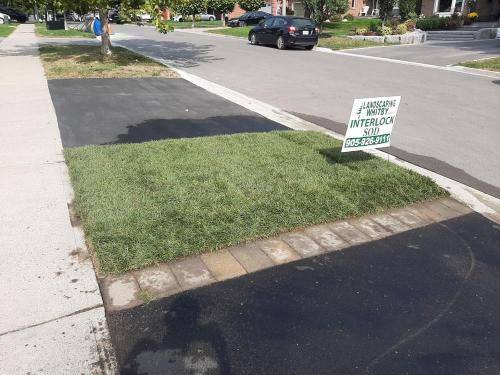 97 - Small shared lawn