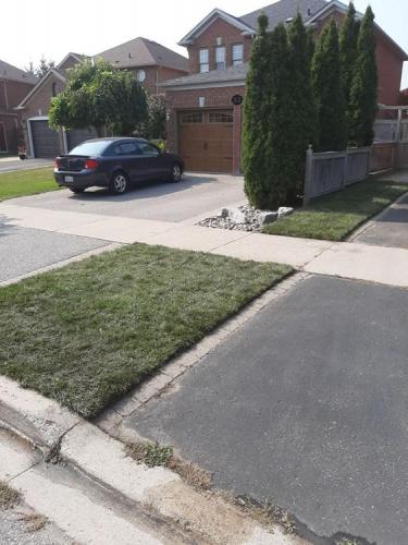 98 - Small Shared Lawn