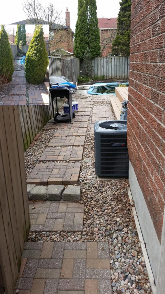 Backyard Ideas Cedar Tree Removal After