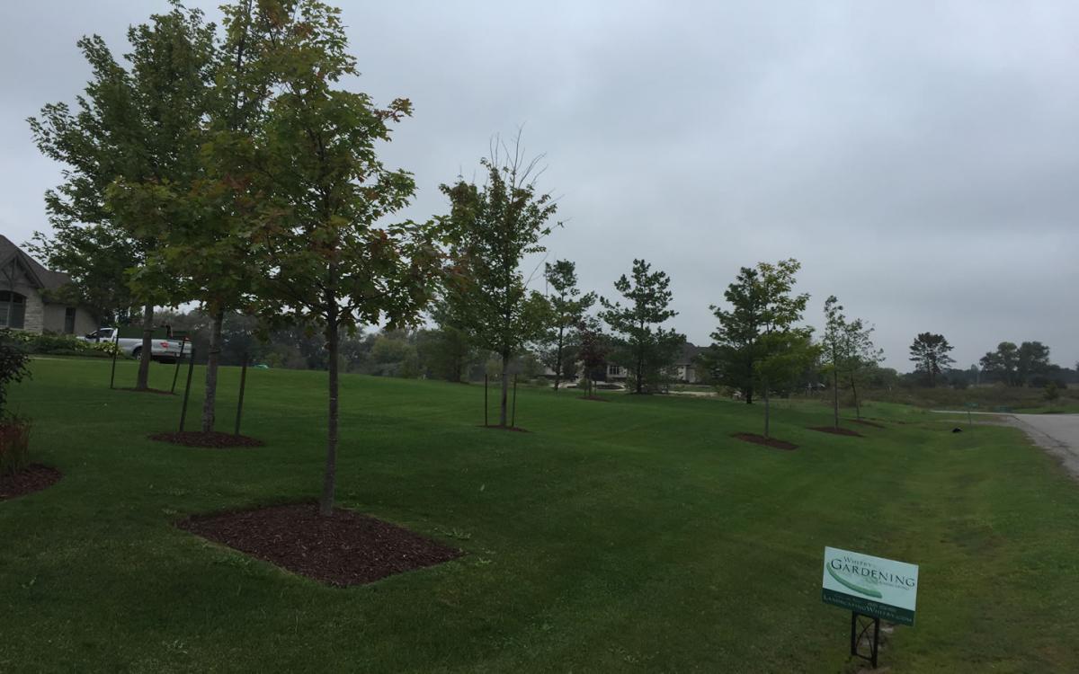 Gardening Gardener Flower Beds Mulching 2