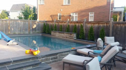 Tree Care Cedar Hedge Planting Pruning 1