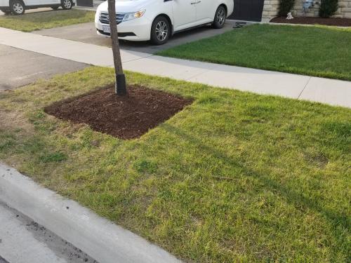 Tree Care Square Edging