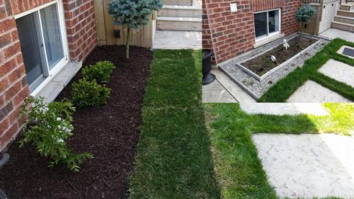 Backyard Lawn Care Sod After 2