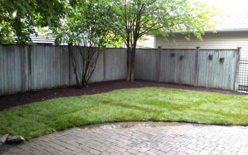 Backyard Sod Installation  Garden Bed1