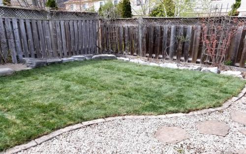 Backyard Sod Installation  Landscaping