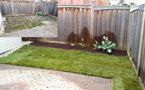 Backyard Sod  Garden Installation After