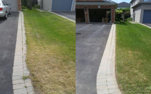 Driveway Lawn Edge