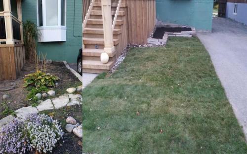 Front Yard Landscaping Sod