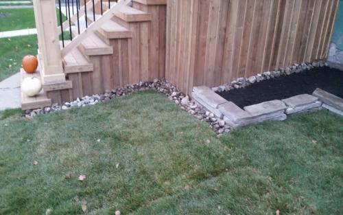 Front Yard Landscaping Sod 2