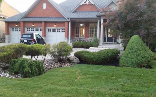 Front Yard Sodding 2