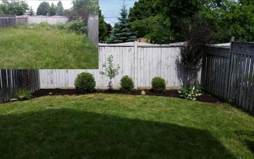 Garden Bed Lawn Clean-Up