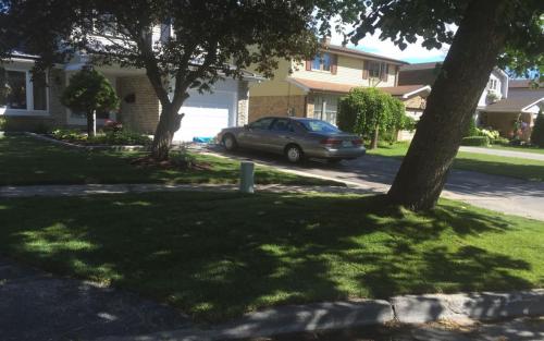 Landscaping Gardening and Sod 4