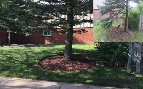 Landscaping Gardening and Sod 5