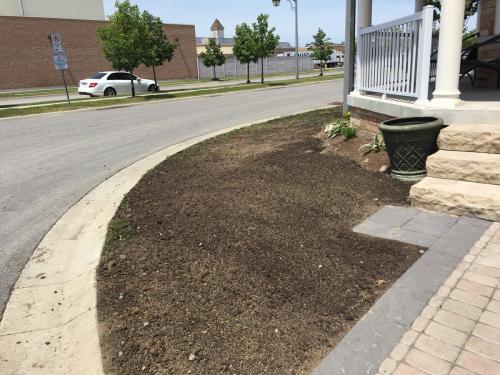 Lawn Care Grass Seed