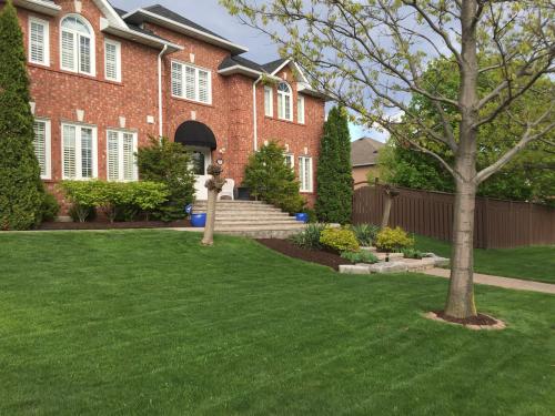 Lawn Care Mow Cutting Grass 2