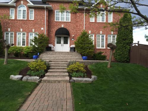 Lawn Care Mow Cutting Grass 3