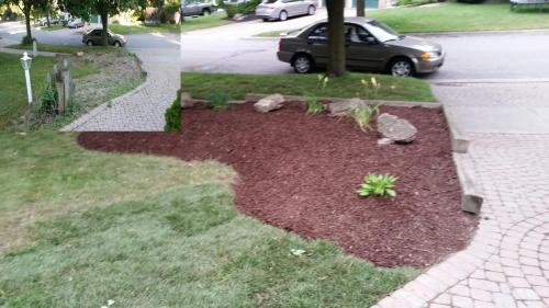 Lawn Care New Sod Turf After